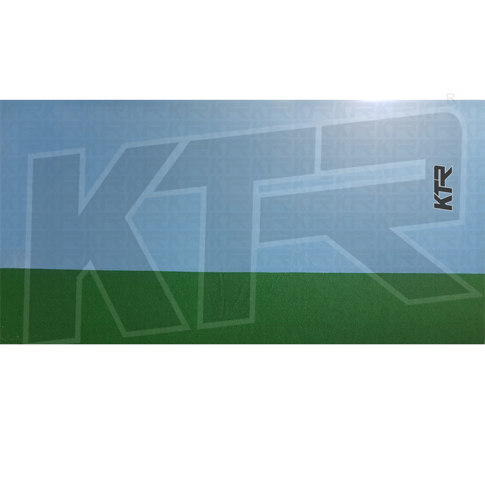 Manufacturer Of Wrestling Cover Blue Orange Wrestling Mat